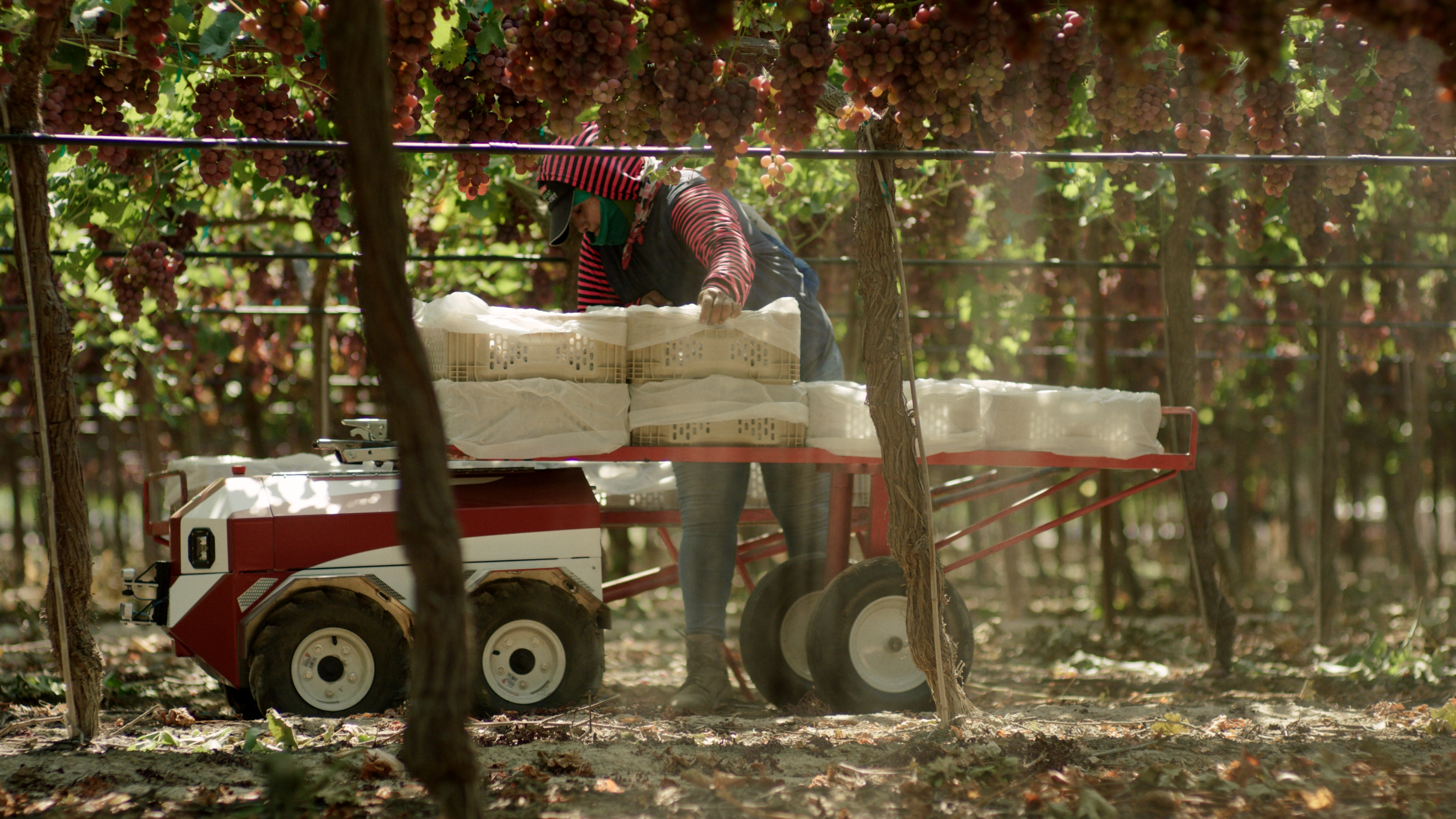 Future Acres Launches to Bring Sustainable Agricultural Robotics to Farm Industry