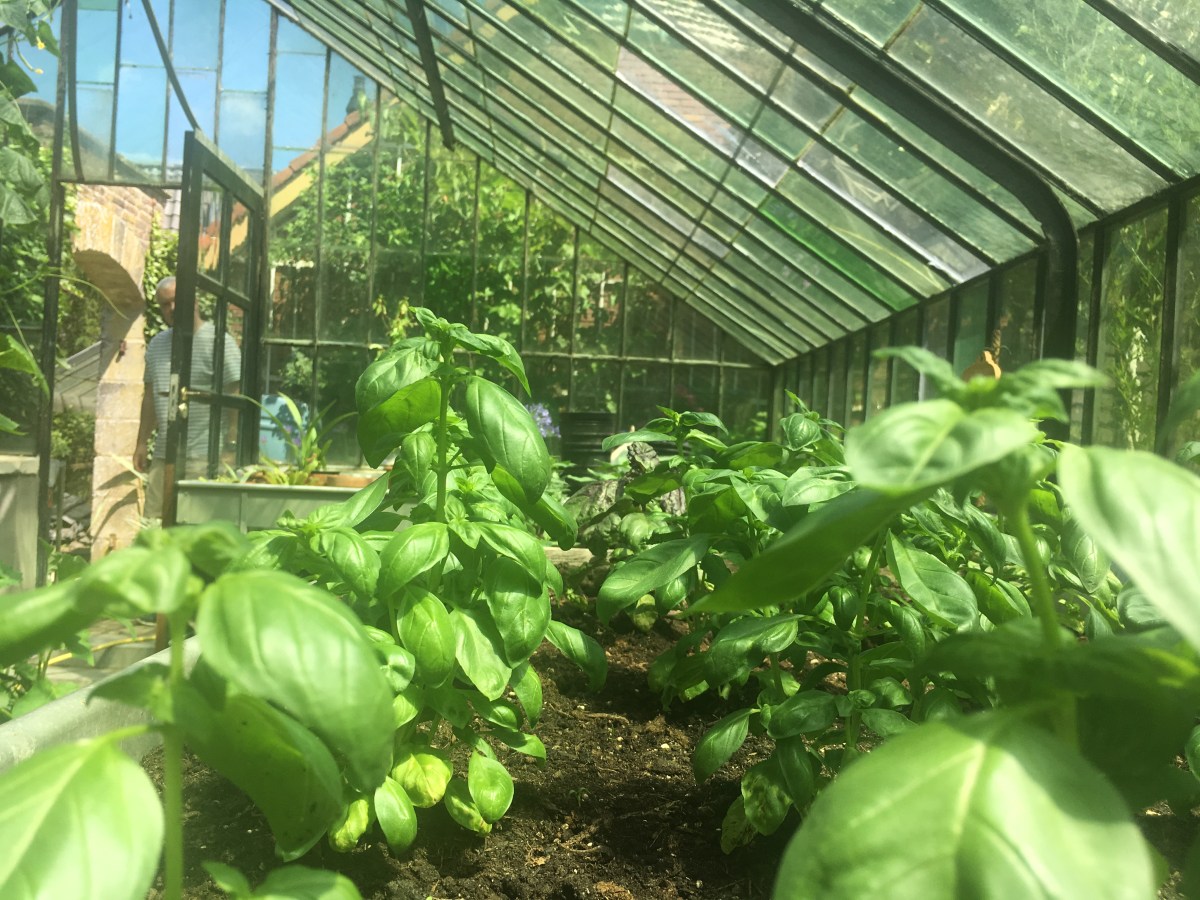 algaesciences - AgTech and FoodTech