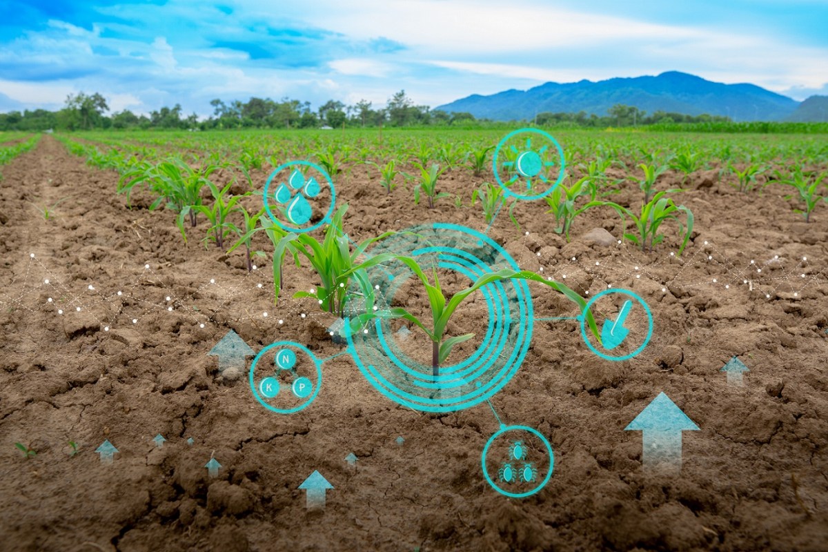 ICL Group Launches ICL Planet Startup Hub: foodTech and agriTech start-ups