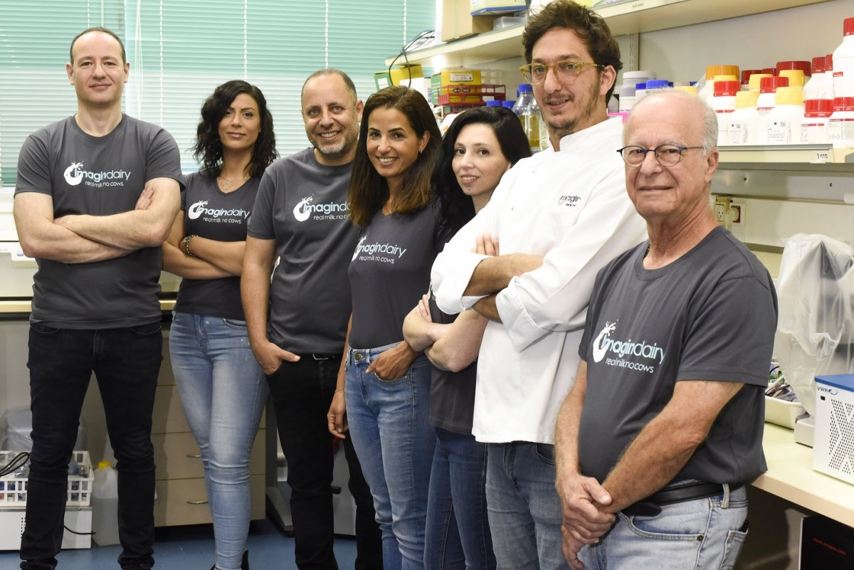 ImaginDairy - Real Milk. No Cows.