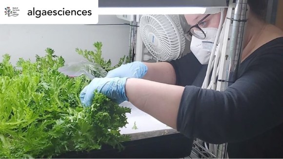 algaesciences - AgTech and FoodTech