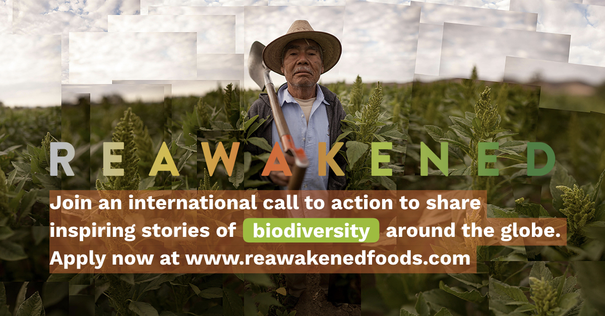 REAWAKENED_newsletter-1