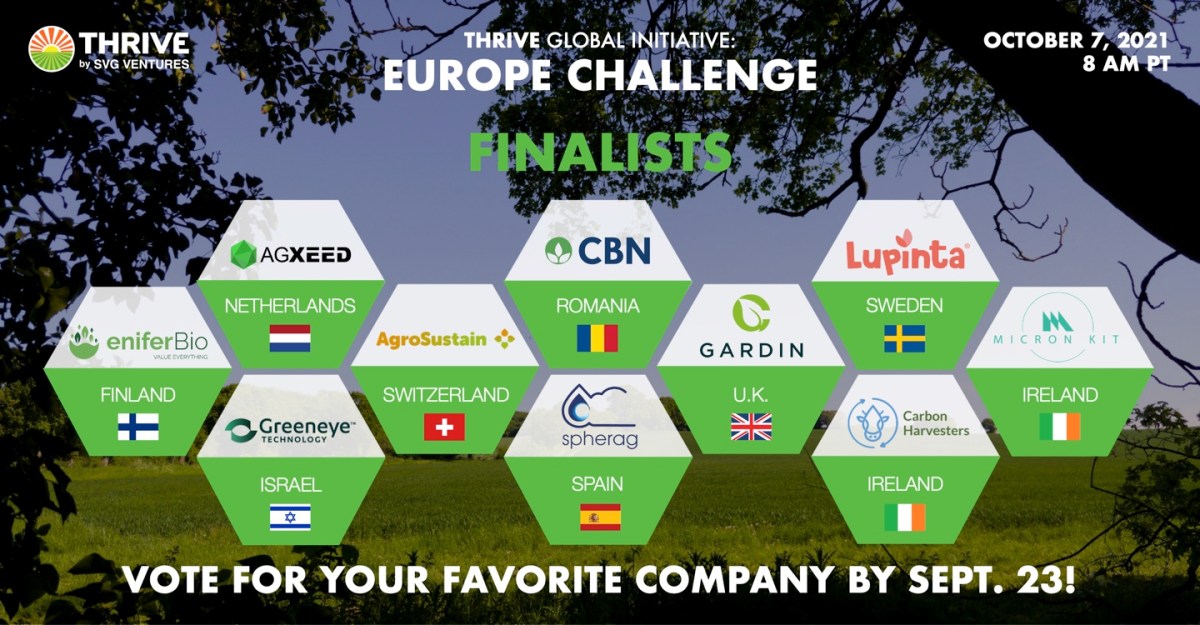 THRIVE Europe Challenge Finalists