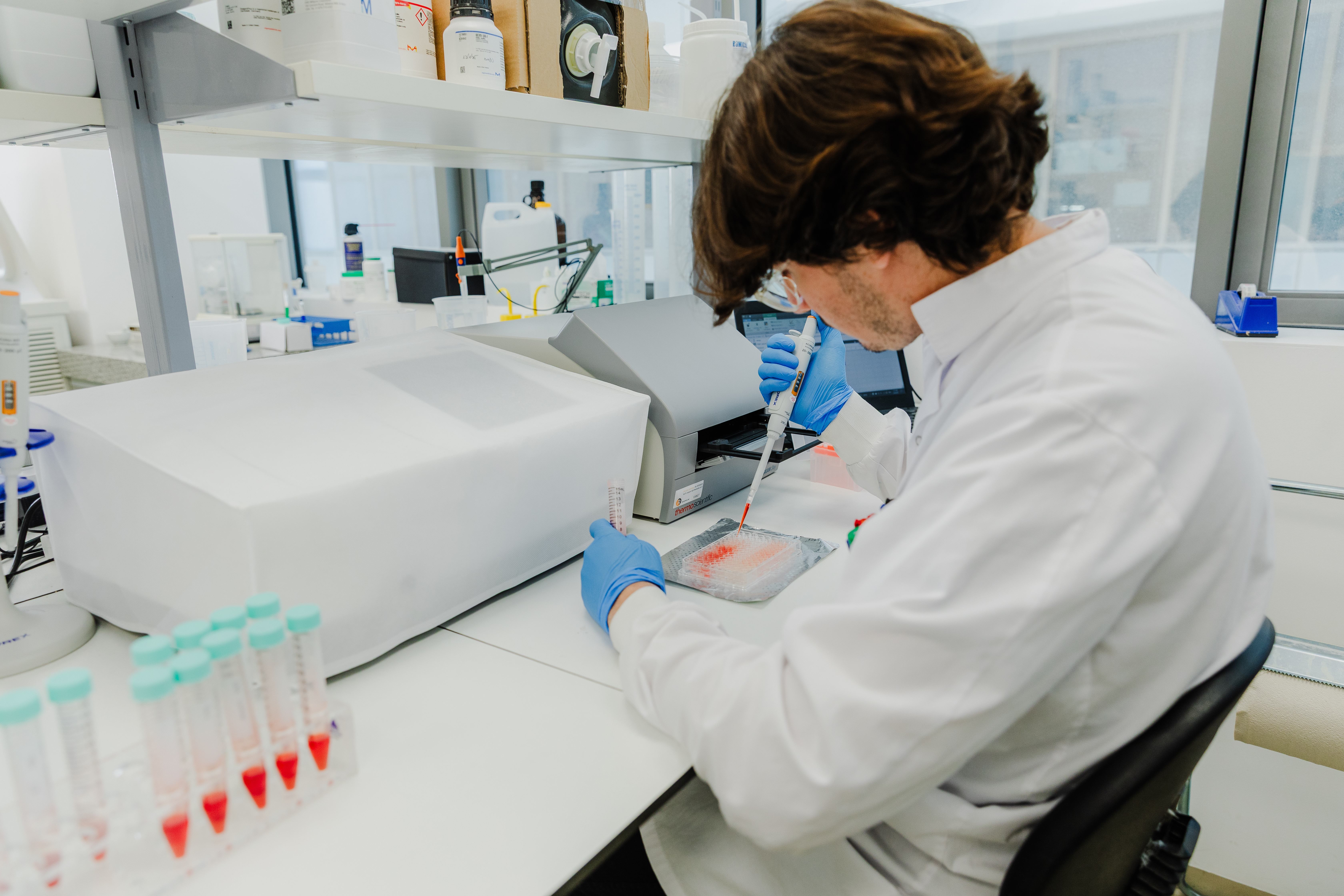 Novella, Metaphor Foods Unite to Commercialize Cell–Based Natural ...