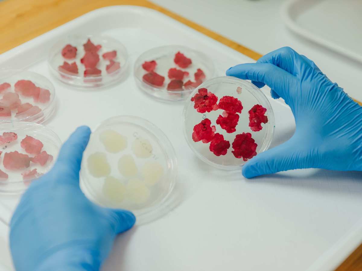 New CEO to drive global commercialization of precision botanical ingredients for the nutraceutical&nbsp;industry